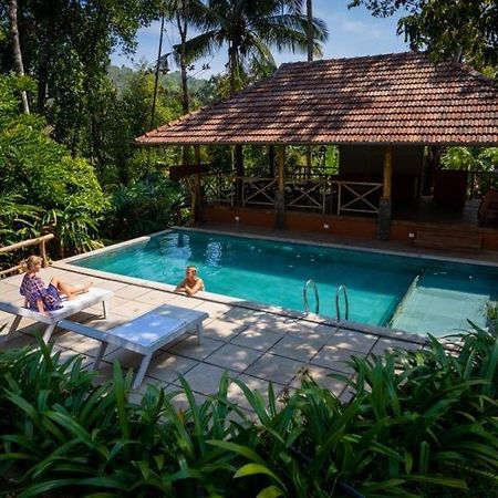 Beyond Eco Living Apartment Munnar Exterior photo