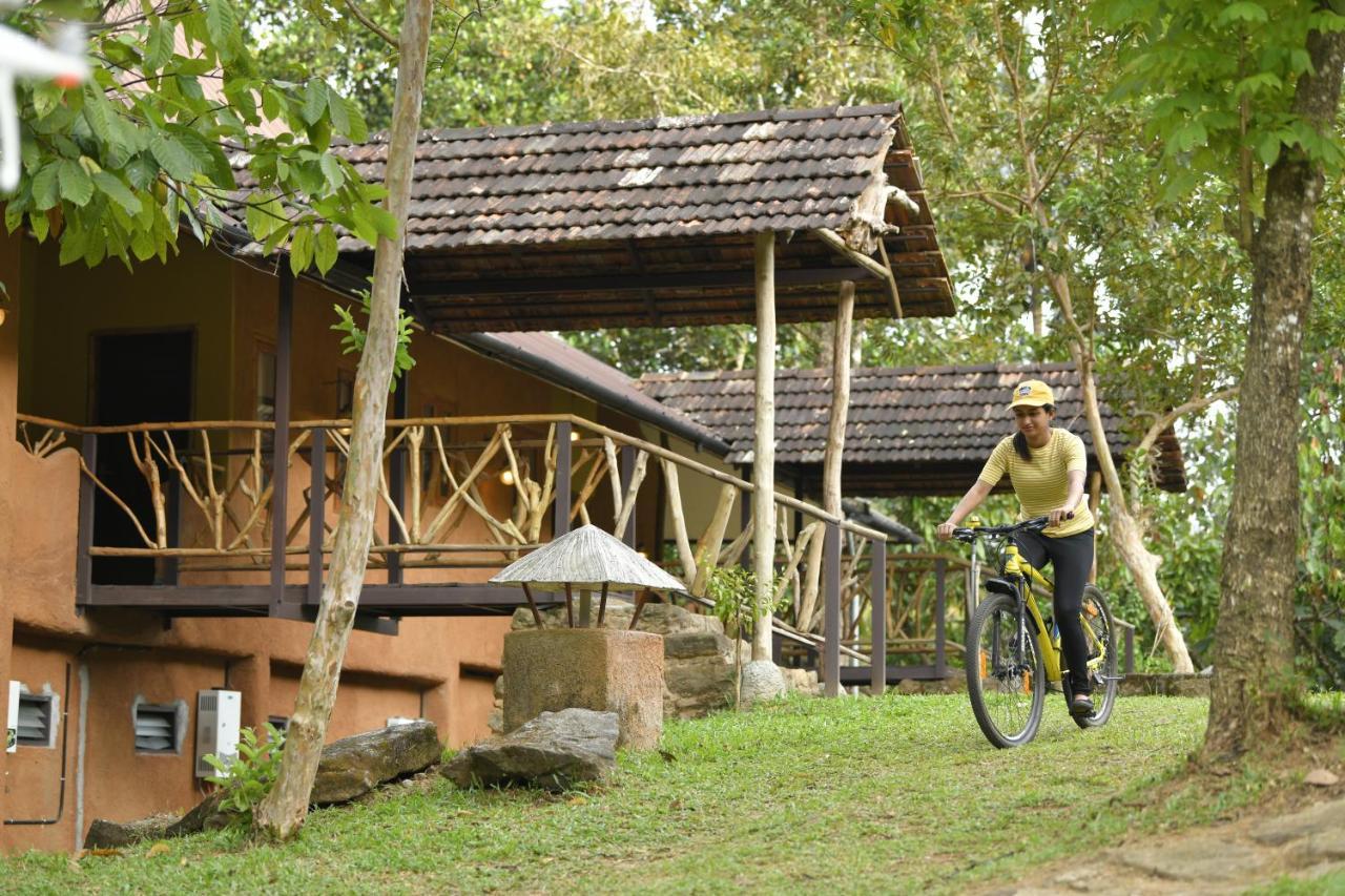 Beyond Eco Living Apartment Munnar Exterior photo