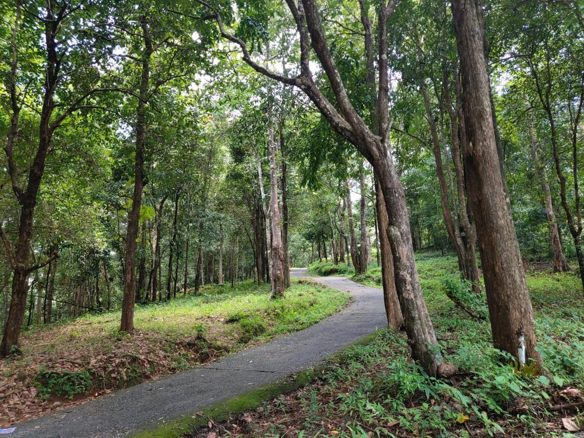 Beyond Eco Living Apartment Munnar Exterior photo